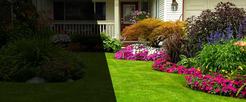 Mountain Grove Landscapers