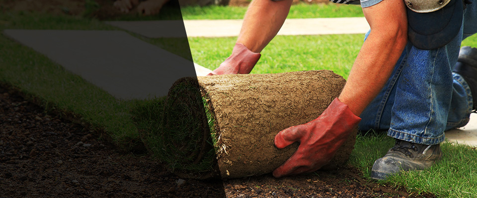 Mountain Grove Landscapers